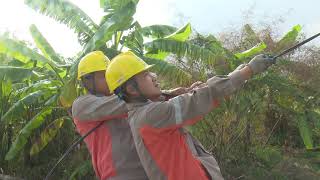 Điện lực Uông Bí triển khai các hoạt động tri ân khách hàng