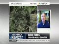 Is America ready to legalize marijuana?