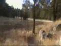 videos de latest trip.avi