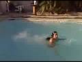 videos de Best Dive Ever