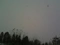 I uploaded a YouTube video -- Boxing Day Snow http://youtu.be/dCyvo8STdRc?a