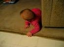 Crawling for candy Crawling for candy