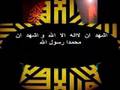 quran , Quran ,islam, سبحان الله,معجزة الله Miracle of Allah