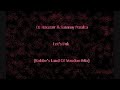 DJ Rooster & Sammy Peralta - Let\ DJ Rooster & Sammy Peralta - Let\