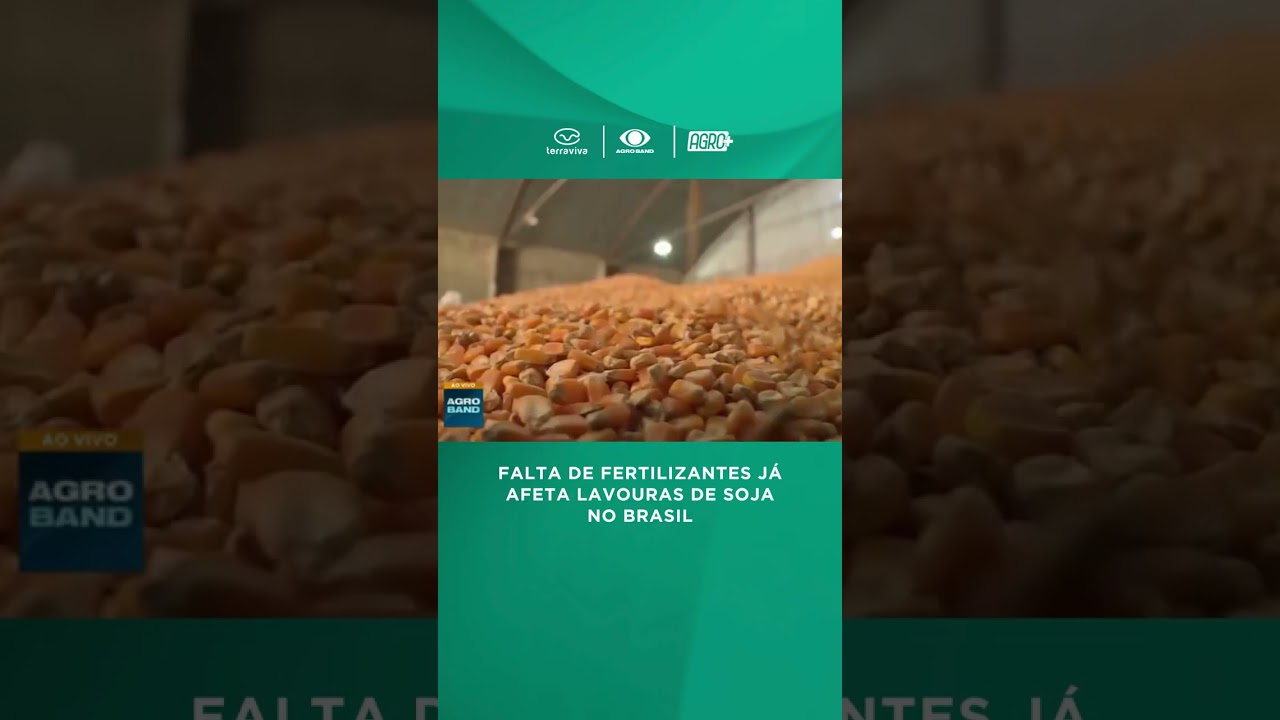 Teste da Embrapa revela impacto da falta de fertilizantes na soja