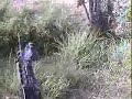 British Forces Engage Taliban - EXTREME Close Combat - Helmetcam