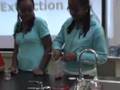 Do at home DNA Extraction Lab