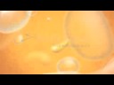 Zoomedia 2008 Demo Reel