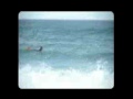 http://durban.kzn.org.zahttp://www.durban.gov.zahttp://www.durban.co.zahttp://www.quikprodurban.comhttp://www.mrpricepro.comhttp://www.durbansurfing.co.zahttp://www.zigzag.co.zahttp://www.surfingsouthafrica.co.zahttp://www.bluntmag.co.zahttp://www.wavescape.co.zaDurban Surfing south africa snake parksony ericsson