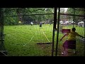 Highlandgames 2009