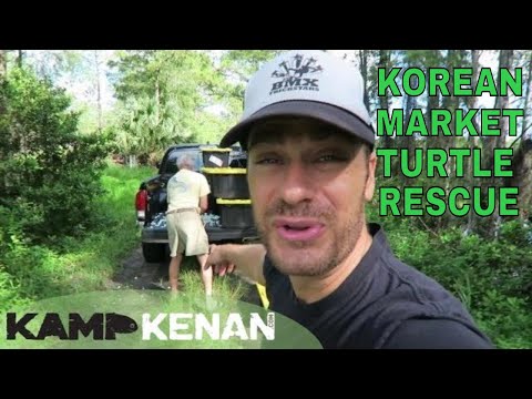 YouTube reptile video
