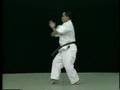 Shorin Ryu Meiubukan