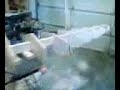 kayak-fishing420-mov00043gp.html