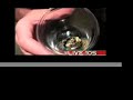 Man Eats Regurgitated Cockroach on Live 105