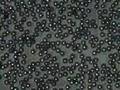 video4_shapememory