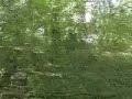 Short vid of my  homemade  Ghillie Suit