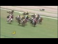 CBC賞動画14