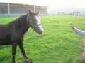 videos de agripon uk tour
