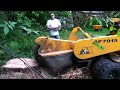 Click here to watch this video countryside tree guilderland ny 518-355-6839 1800CUTTREE