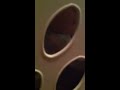 Josh in basket
