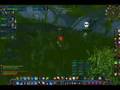 level 29 Twink Mage and Warrior Foxyfury and Rynn