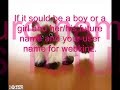 Webkinz Himalayan Cat Naming Contest