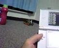 Nintendo DS Tank