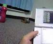 Nintendo-DS-Tank