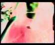 XY & ZEE - PWEI