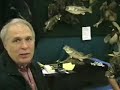 Sportsmans Taxidermy
