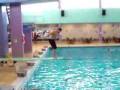 Funny Fall on a Diving Board / Caida Graciosa