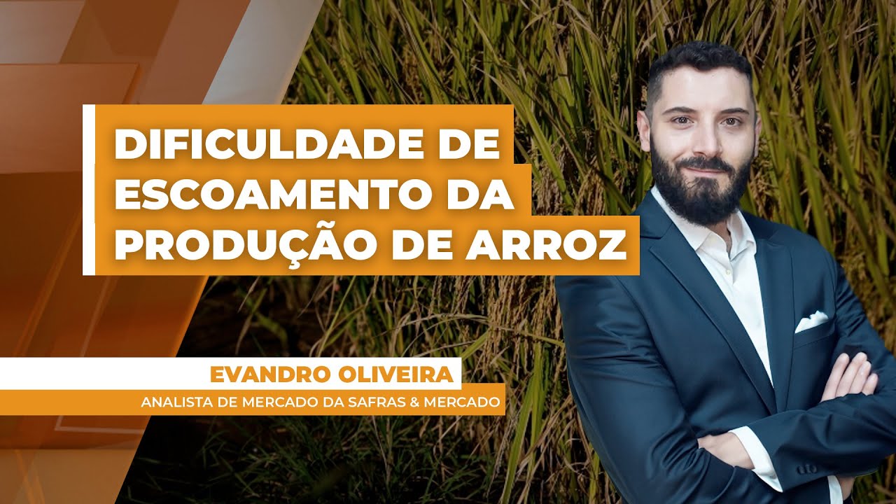 Mesmo com oferta abundante e potencial de recordes de produção, mercado do arroz no Brasil enfren...