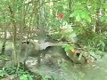 Snorkeled exhaust quadmaster in shaw bottoms.
