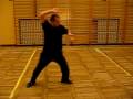 Kung Fu white crane Yaou Gu (formaIV)