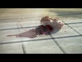 Trex Transcend Stain Resistance Demo - BBQ Chicken