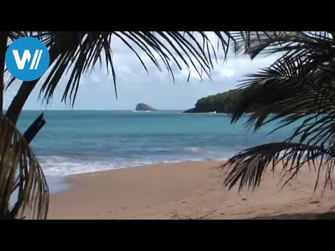 Caribbean Moments – Guadeloupe