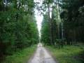 Mazury (Czerwone Gitary - Wróćmy nad jeziora)