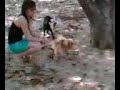 3rd video 3rd video
