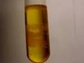 Liquid Sulphur Crystallization