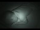 The Second Nap