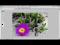 Click here to watch this video How to Determine Photo Enlargement Sizes for Your Digital Photos using PhotoshopCS
