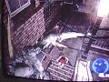 Yo Jugando Outbreak file2 Yo Jugando Outbreak file2