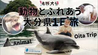 観光YouTubeチャンネル「沸騰大分」