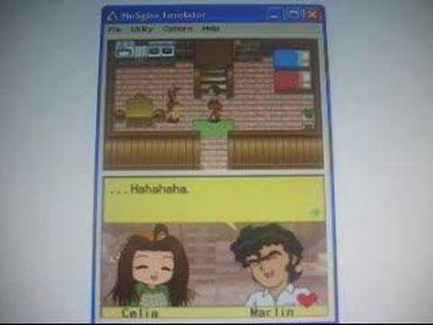 how to upgrade a house in harvest moon ds