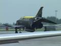 2008小松基地航空祭F-2A機動飛行