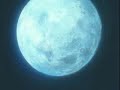 AMV Wolf\