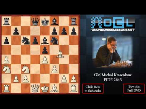 chess knight