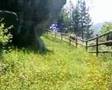 Molise's Hidden Treasure (music by And Also The Trees)