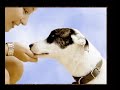 ..DiariO D un PerrO..