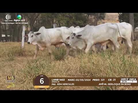 511� LEIL�O VIRTUAL MB LEIL�ES